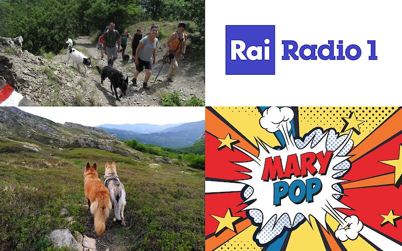 Cammini con umani e cani su RaiRadioUno
