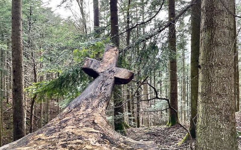Essere pellegrini oggi