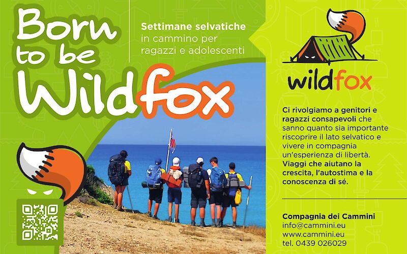 WildFox, ai ragazzi e alle ragazze